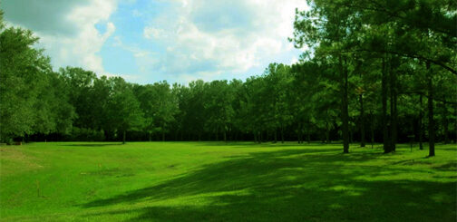 Future site of Gainesville Cohousing