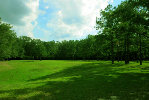 Future site of Gainesville Cohousing