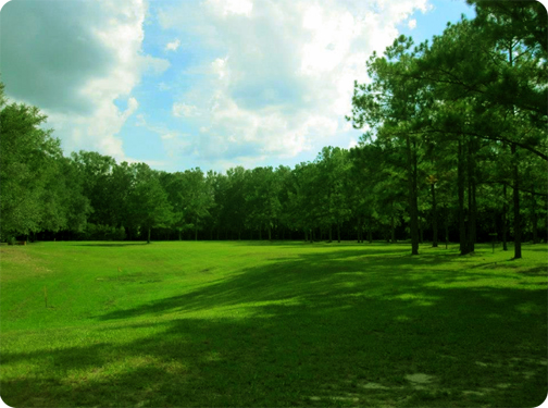 Future site of Gainesville Cohousing