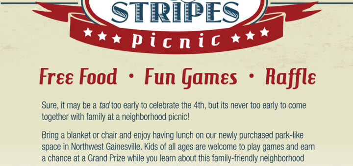 Stars And Stripes Picnic